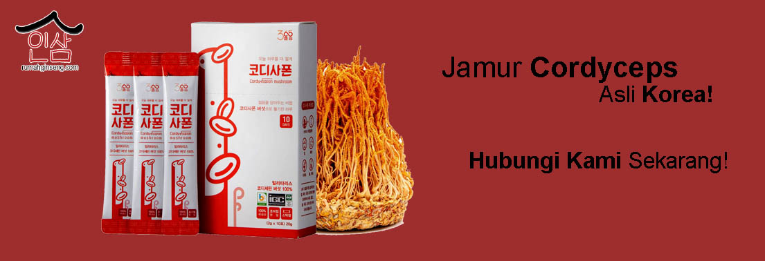 Beli Cordyceps Indonesia
